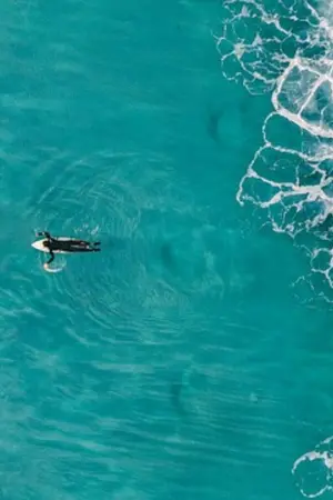 ปกนิยาย [os/sf] marvel #stony #strangeiron #allpete