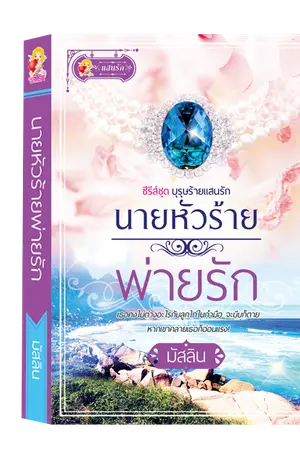 ปกนิยาย