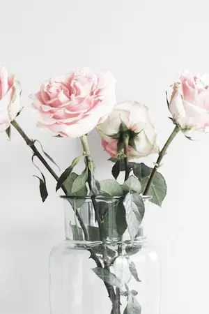 ปกนิยาย [SF/OS] พระพายโชยกลิ่น (chanbaek)