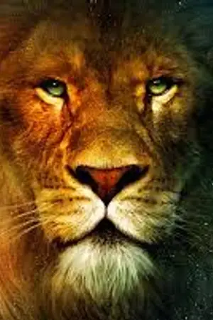 ปกนิยาย สิงโต Oh my lion