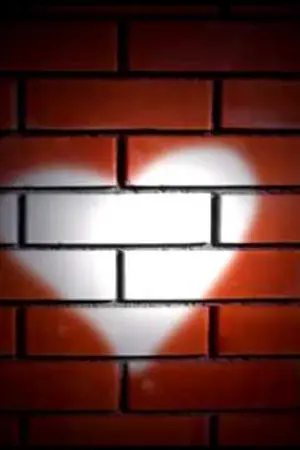 ปกนิยาย [OS] The story is real.