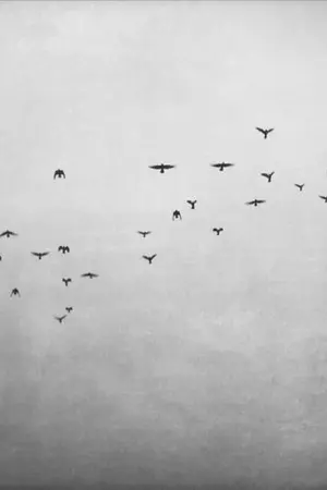 ปกนิยาย [SF&OS] S P A C E B A R