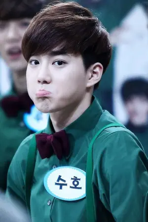 ปกนิยาย EXO miracle in suho [shot fiction]