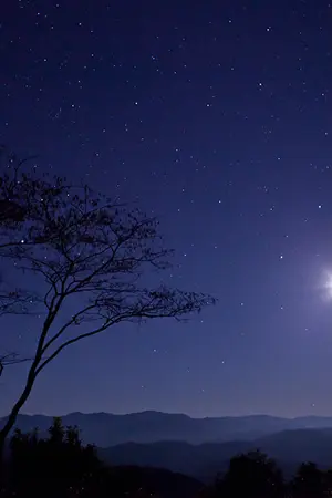 ปกนิยาย มัจจุราชในดวงใจ