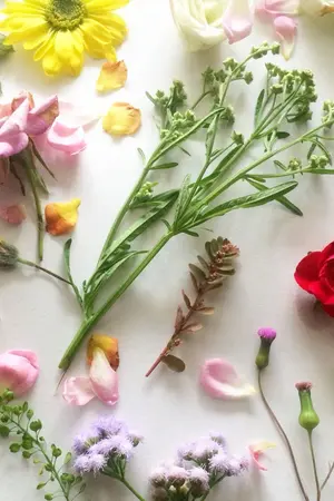 ปกนิยาย [ EXO] SF & OS CHANBAEK by KRISSYNY