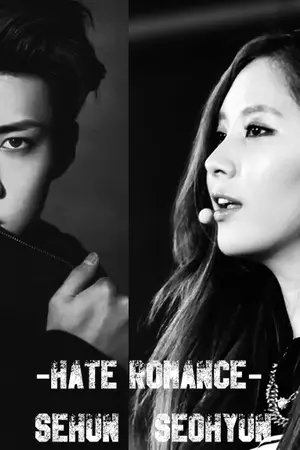 ปกนิยาย ∞Hate Romance∞  [Exo-Snsd]
