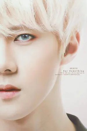 ปกนิยาย Love Ninja! [sehun x you]