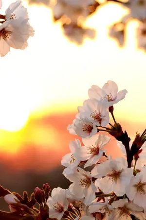 ปกนิยาย OS NCT : JohnDo TaeTen & All