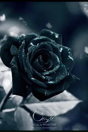 ปกนิยาย Do You Love Me รักจริงหรือหลอกเล่น