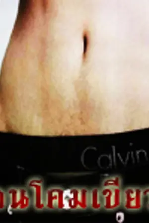 ปกนิยาย (exo) ม่านโคมเขียว { BaekDO KaiHun }