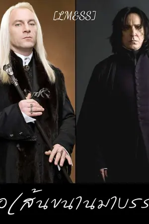 ปกนิยาย Short Fic Harry Potter [LM&SS] เมื่อเส้นขนานมาบรรจบ