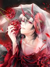 ปกคอลเล็กชัน ์N.J.Zeaphyr's Collection