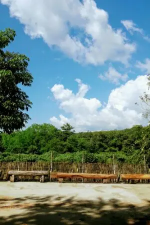 ปกนิยาย SAY MY NAME