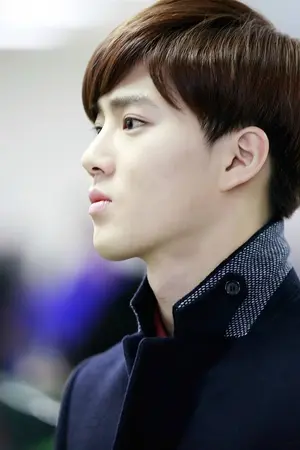 ปกนิยาย [Fic Exo] Out of sight นอกสายตา        ( Krisho,hunhan,chanbaek )