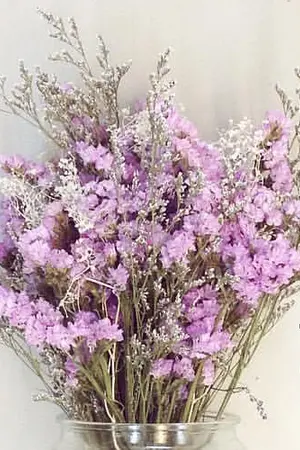 ปกนิยาย Unexpected ไม่เคยคาดหวัง