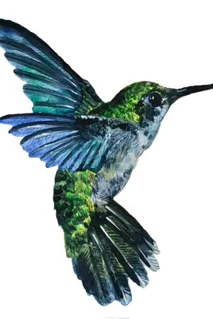 ปกนิยาย (exo) ◇HummingBird◇ 벌새 (ChanBaek)