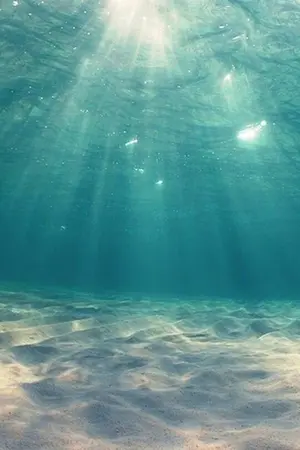 ปกนิยาย (exo) Bear in Mind (ChanBaek)