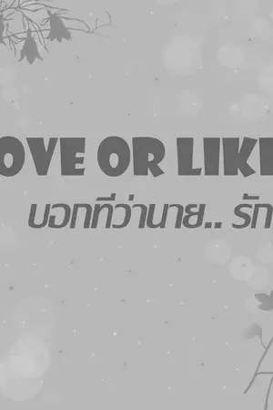 ปกนิยาย Love or Like บอกทีว่านายรักฉัน [Hopega Kookmin JinV]