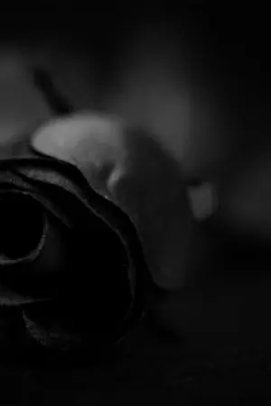 ปกนิยาย [KrisMin,Lumin] Don't Speak เพียงเพราะรัก