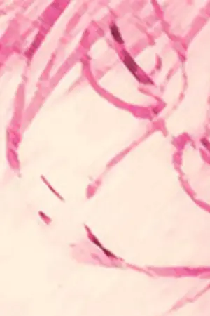 ปกนิยาย If only...