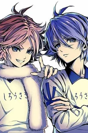 ปกนิยาย [Fic Inazuma Eleven] -พี่น้องฟุบุคิ X Oc - (ไม่ Yaoi!!)