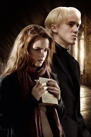 ปกนิยาย [Hermione x Draco] อย่าหาเรื่องใส่ตัว! ยัยเลือดสีโคลนโสโครก!