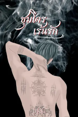 ปกนิยาย ชุมโจรเร้นรัก