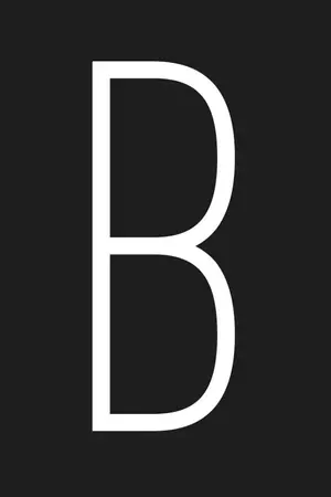 ปกนิยาย [EXO] Born to B | Chanbaek+?