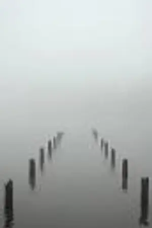 ปกนิยาย สะพานหนุนรัก