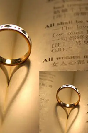 ปกนิยาย เมียมาเฟีย