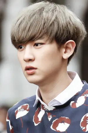 ปกนิยาย MISTER PERFECT | EXO SNSD