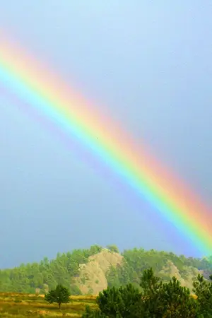 ปกนิยาย [OS] Rainbow & its Sky (MonHope of BTS)