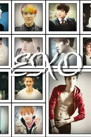 ปกนิยาย Fic exo x you { Fin all exo }