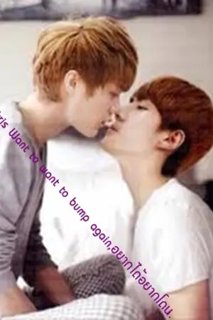 ปกนิยาย [Fic Exo]Hunkris Want to want to bump again,อยากได้อยากโดน.