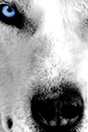 ปกนิยาย HAEEUN - SILENT NIGHT