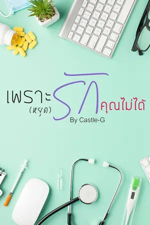 ปกนิยาย