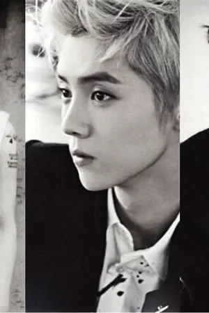 ปกนิยาย Fic exo : { Hunhan ft. Chanyeol } Basely