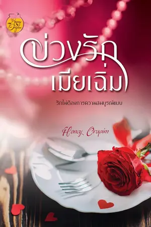 ปกนิยาย