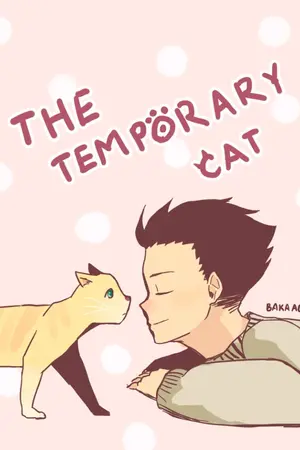 ปกนิยาย [Fic Jondami] The Temporary Cat