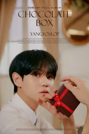 ปกนิยาย YANGYOSEOP - Chocolate box (เนื้อเพลง)
