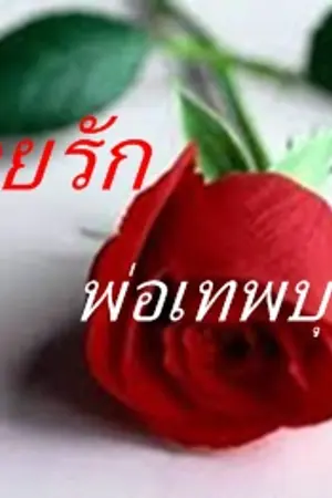 ปกนิยาย