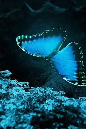 ปกนิยาย ร้อยอสูร  หมื่นบุปผา