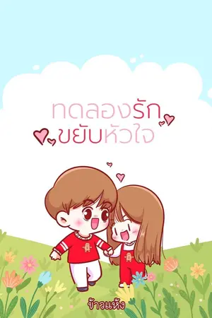 ปกนิยาย