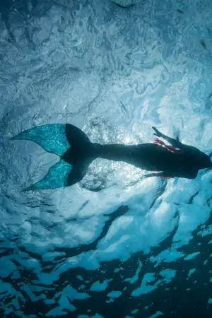 ปกนิยาย M E R M A N  l  jaeten