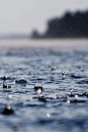 ปกนิยาย (sf/os) the rain to the sea