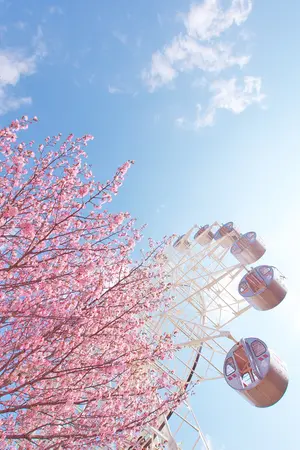 ปกนิยาย + รวมเรื่องสั้น+