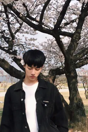 ปกนิยาย No questions,no answer