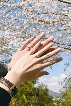 ปกนิยาย Fallin' All In You ตกหลุมรักไปแล้วทั้งใจ #คนดีของลิสา