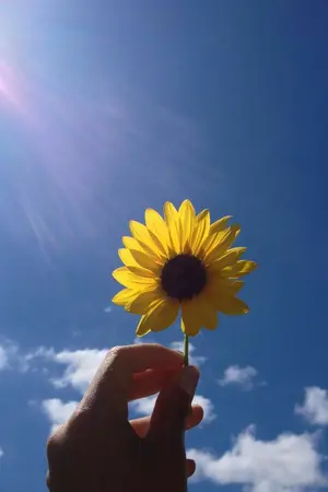 ปกนิยาย (os / sf) warm ☀ | 윙참