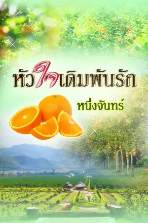 ปกนิยาย